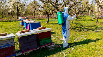 What Pesticides Are Safe for Your Beehive?