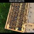 Load image into Gallery viewer, Bunkie, LA - NUCS - 6 Frame