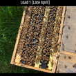 Load image into Gallery viewer, Billerica, MA - NUCS - 6 Frame