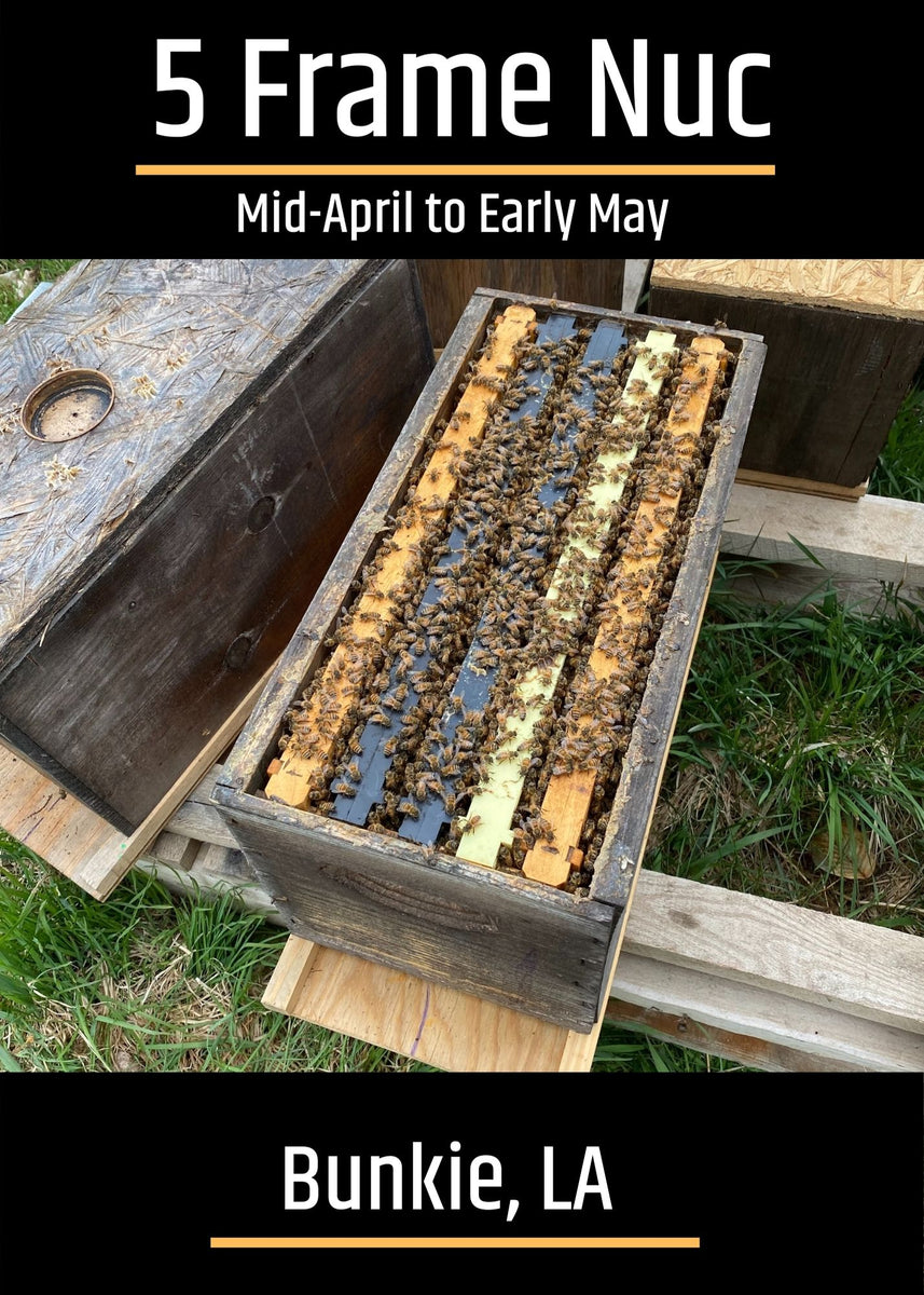 Bunkie, LA Group 2 (MidApril to EarlyMay) Southern 5 Frame Nucs