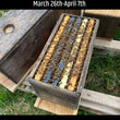 Load image into Gallery viewer, Bunkie, LA - NUCS - 5 Frame