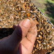 Load image into Gallery viewer, Fort Plain, NY - NUCS - 6 Frame
