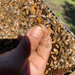 Load image into Gallery viewer, Bunkie, LA - NUCS - 6 Frame