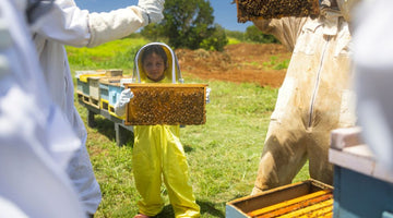 How To Teach Your Kids About Beehive Safety