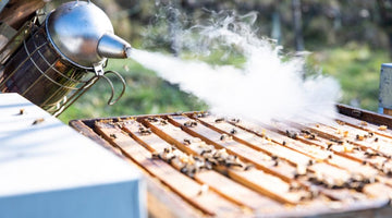 How To Use a Beehive Smoker Safely and Effectively