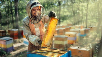 The Complete History and Evolution of Beekeeping