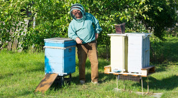 5 Tips for Making Money From Your Beehive