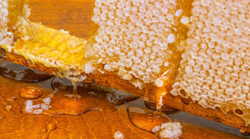 Honey Harvesting Tips for Delicious Results