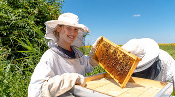 Tips For Safely Introducing New Bees to Your Existing Colonies