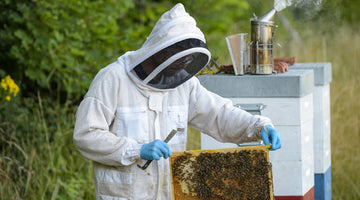 A Quick Guide to the Beekeeping Tools and Equipment You Need