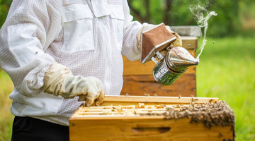 Fall Beekeeping Checklist: Keep Your Hive Healthy for Winter