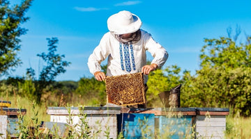 A Guide To Record-Keeping for Beekeepers