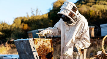 What Protective Clothing Do Beekeepers Wear?