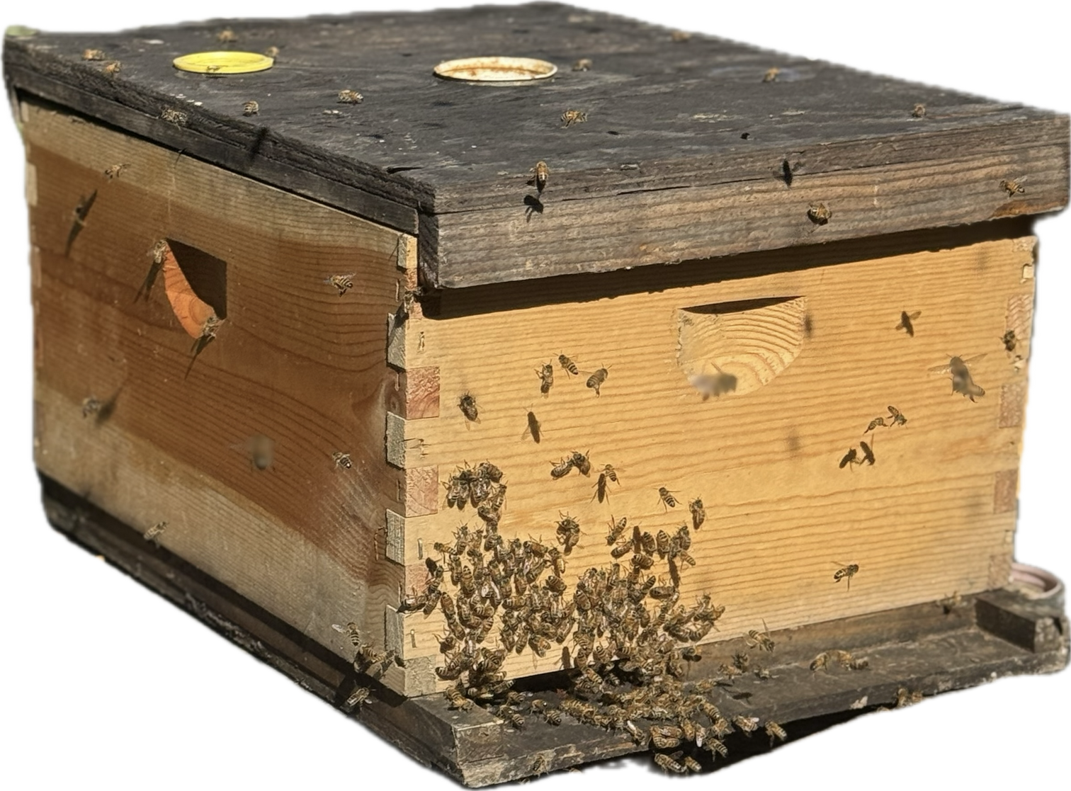 IMG_2190_1512x.png?v=1762280033