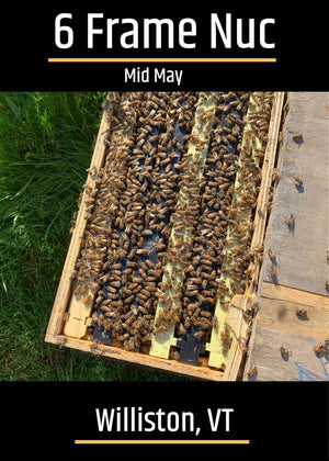 Williston, VT (Mid May)Northeast 6 Frame Nucs