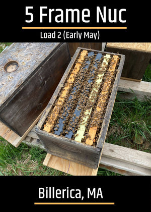 Billerica, MA Load 2 (Early May) Northeast 5 Frame Nucs